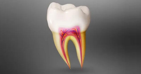 In Defense of Root Canals: The Unsung Hero of Dental Care
